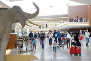 actividades para grupos en granada
