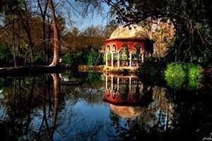 yincana naturaleza sevilla